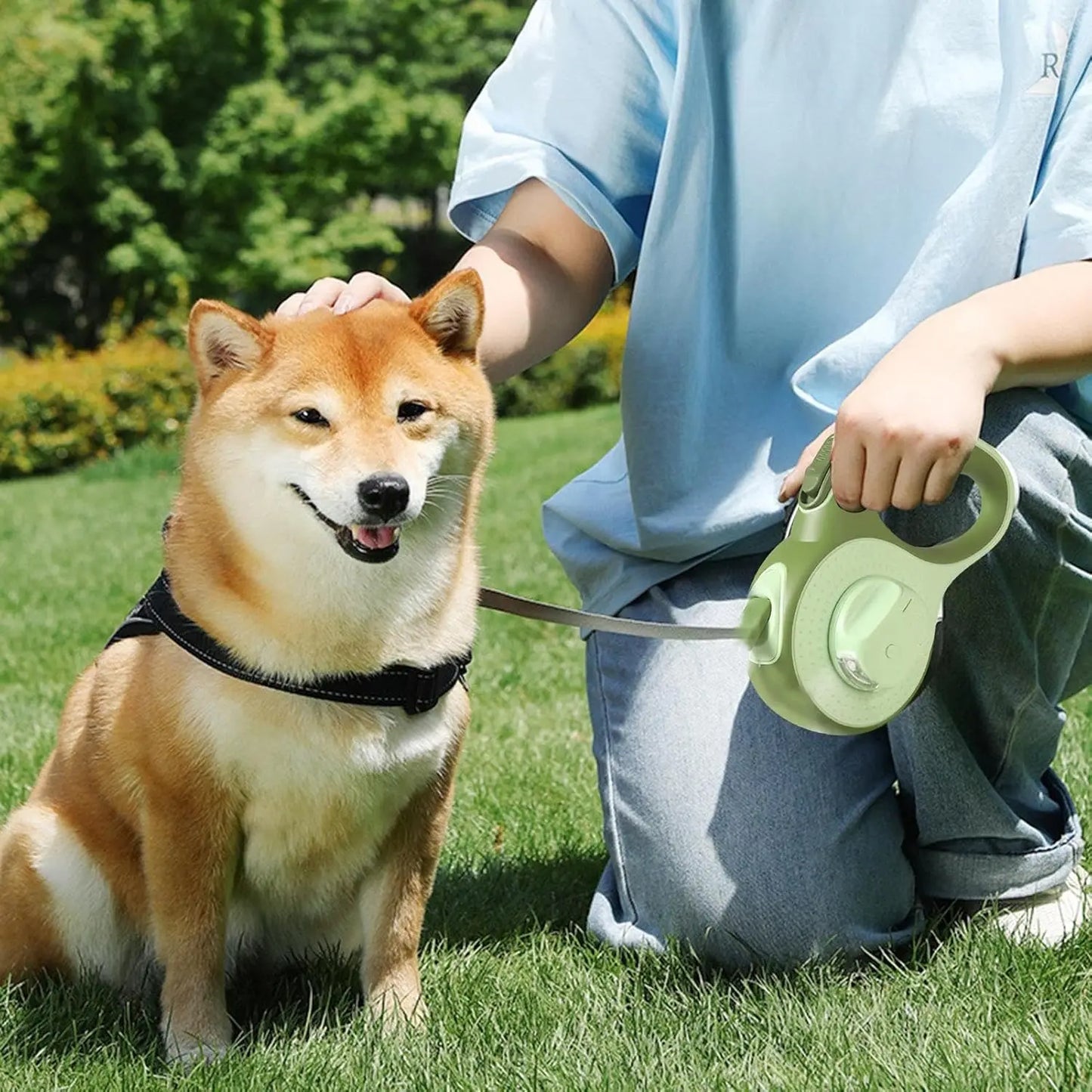 3/5M LED Retractable Dog Leash – Tangle-Free 360° Swivel Pet Walking Lead with Explosion-Proof Nylon Rope