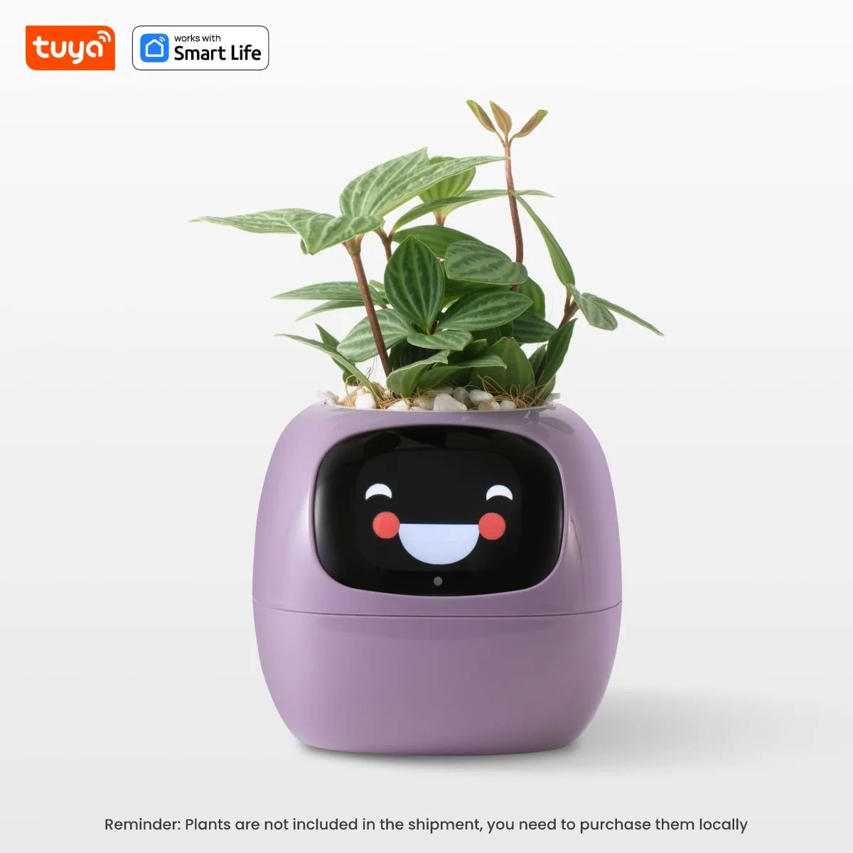 Tuya Ivy AI Smart Flower Pot – 49+ Animated Expressions, 7 Sensors & Intelligent Plant Care