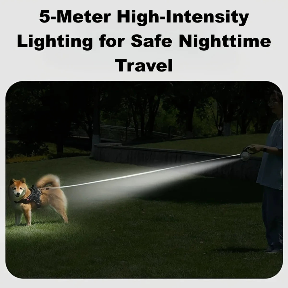 3/5M LED Retractable Dog Leash – Tangle-Free 360° Swivel Pet Walking Lead with Explosion-Proof Nylon Rope