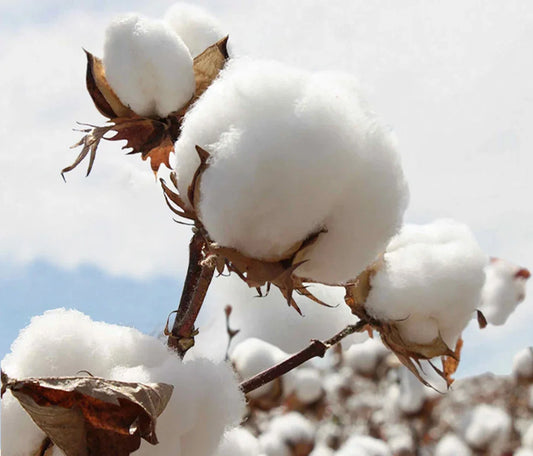 Osaka Dotonbori Drunk Octopus Graphic Tee – Unisex Harajuku-Style High-Quality Cotton T-Shirt for Men & Women, Perfect as a Couple’s Gift