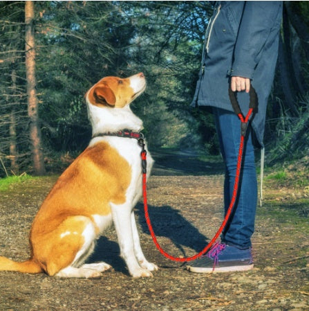 Reflective Nylon Dog Leash – Durable Rope for Small, Medium & Large Dogs, Ideal for Walking & Training