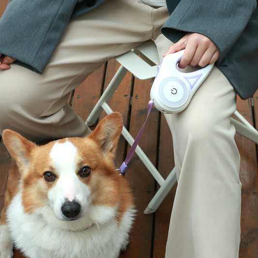 Retractable Dog Leash with Collar – Auto Traction Rope with Spotlight for Small & Medium Dogs