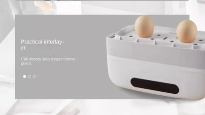 Portable Electric Lunch Box with Self-Heating, 220V Rice Cooker and Multi-Function Food Steamer