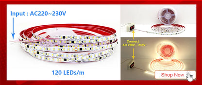 5M Flexible 2835 LED Strip Light, 240 LEDs/m, DC12V/24V – High Brightness, Cuttable Tape Light in Red, Green, Blue