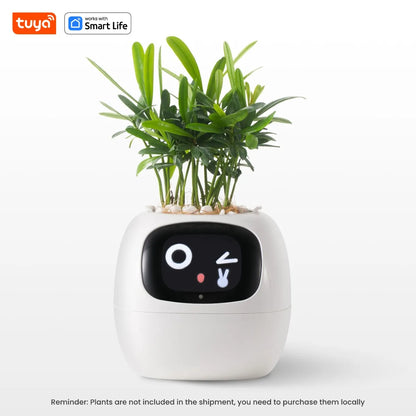 Tuya Ivy AI Smart Flower Pot – 49+ Animated Expressions, 7 Sensors & Intelligent Plant Care