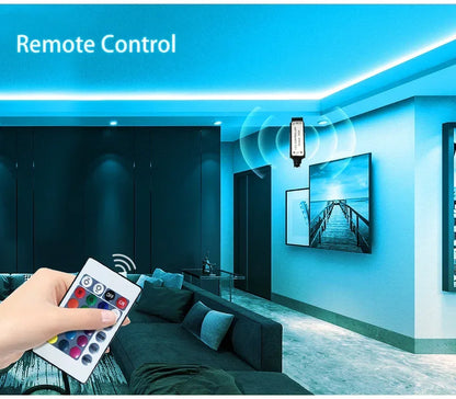 24V RGB USB LED Strip Light with 24-Key IR Remote – Flexible SMD3535 Light Strip for TV Backlighting &amp; Room Decoration