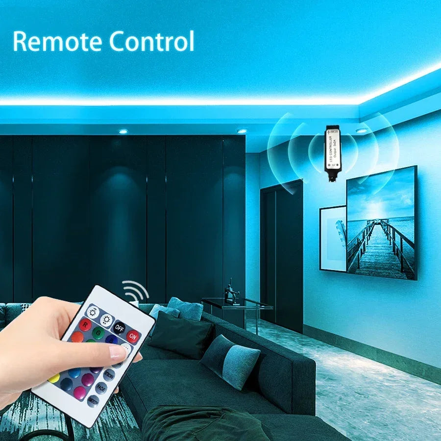 24V RGB USB LED Strip Light with 24-Key IR Remote – Flexible SMD3535 Light Strip for TV Backlighting &amp; Room Decoration