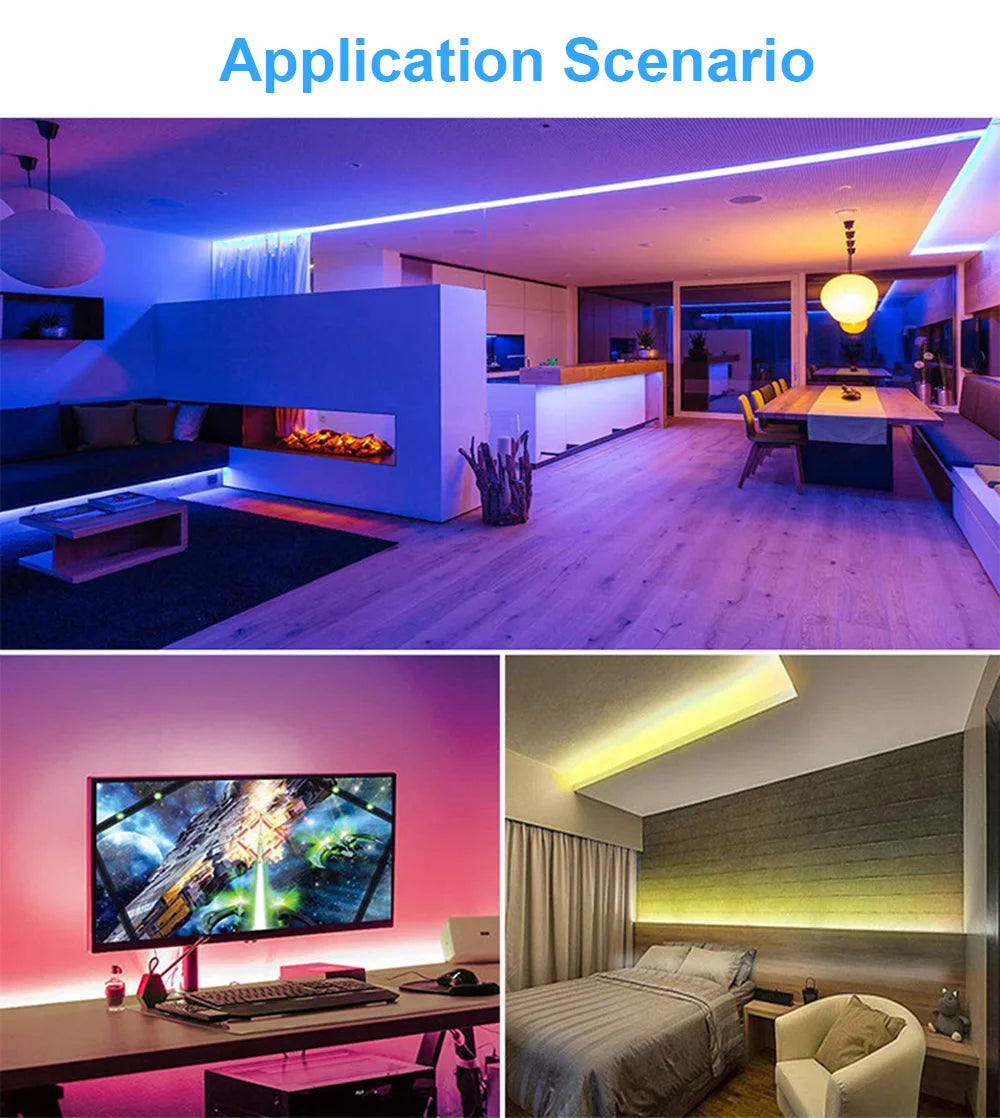 5M Flexible 2835 LED Strip Light, 240 LEDs/m, DC12V/24V – High Brightness, Cuttable Tape Light in Red, Green, Blue