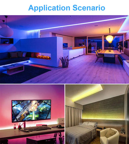 5M Flexible 2835 LED Strip Light, 240 LEDs/m, DC12V/24V – High Brightness, Cuttable Tape Light in Red, Green, Blue