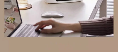 Portable Electric Lunch Box with Self-Heating, 220V Rice Cooker and Multi-Function Food Steamer