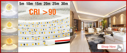 5M Flexible 2835 LED Strip Light, 240 LEDs/m, DC12V/24V – High Brightness, Cuttable Tape Light in Red, Green, Blue