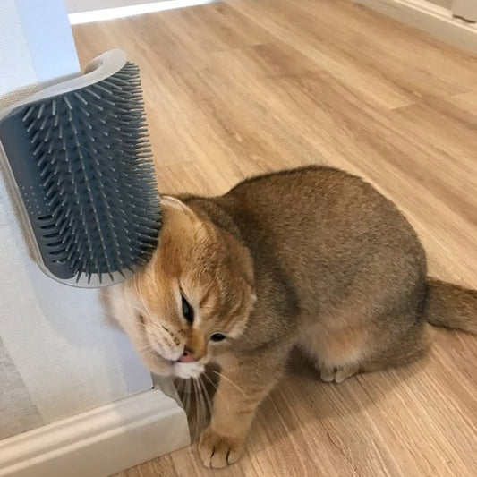 Cat Self-Grooming Wall Brush – Corner Rubbing Device with Catnip for Indoor Cats